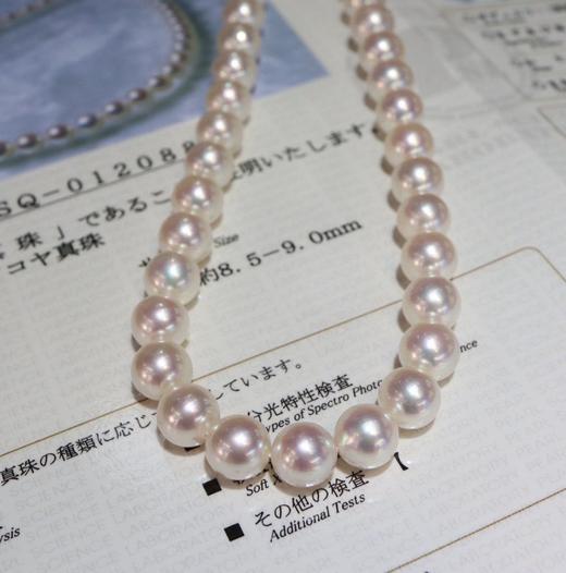 日本akoya珠链 8.5-9mm 商品图2