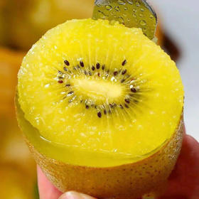 陕西金龙二号猕猴桃  软糯香甜，入口甜蜜沁心，回味悠长