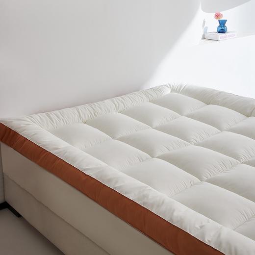 拼色羽丝绒床垫 租房宿舍专用柔软蓬松床垫褥 商品图4