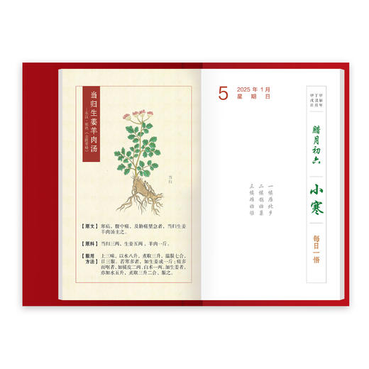 《本草日历2025》张伯礼院士力荐 中医药爱好者入门必读 中草药日历 蛇年 文化创意台历【赠品5本随机赠一本】 商品图3