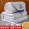 希尔顿大豆被 商品缩略图2