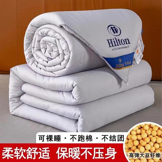 希尔顿大豆被 商品图2