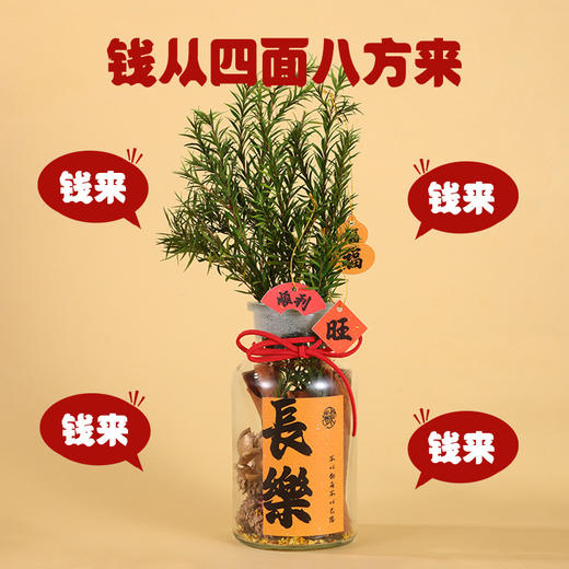 【DIY肉桂生财瓶】香薰摆件手工套装 香薰摆件发财玻璃瓶装饰客厅位生日礼物 商品图8