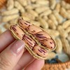 云南高原富硒黑花生/七彩花生 商品缩略图3