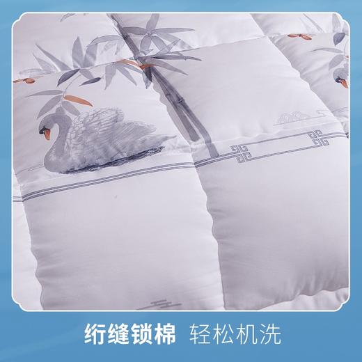 贝彤国潮成人被Cb1603白色200*230cm 商品图2