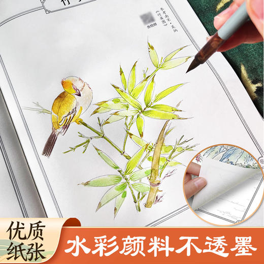 墨点美术 国画描摹实用本 白描入门描摹本国画工笔国风山水花卉鸟人物美术套装画本描红书初学者画画临摹画册毛笔绘画练习 商品图6
