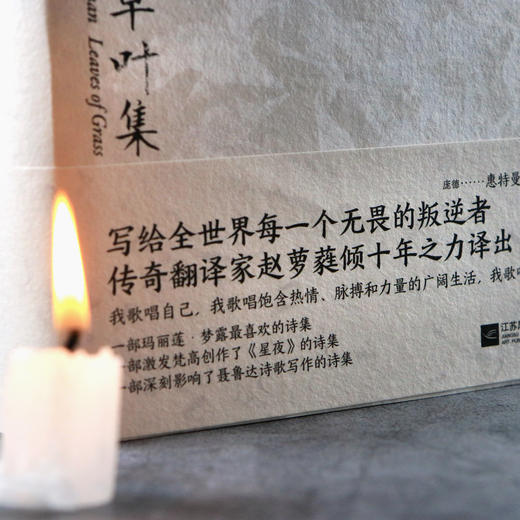 后浪正版 草叶集（全2册） 商品图6