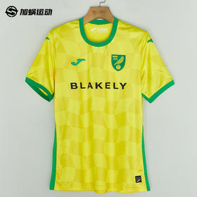 SFS 荷马Joma 24/25诺维奇主场球员版足球服 5145FPB562