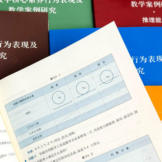 初中数学核心素养行为表现及教学案例研究系列丛书 套装8册 商品图9