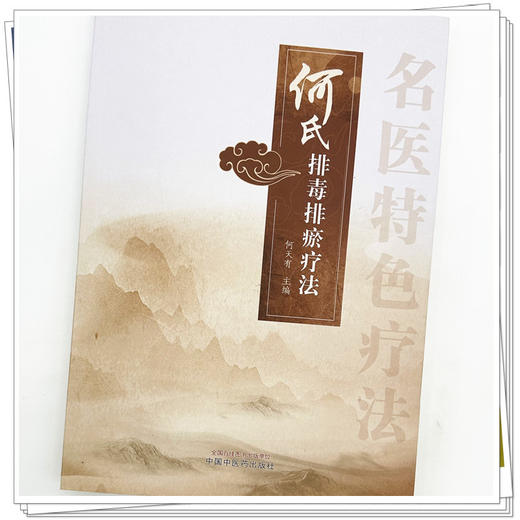 何氏排毒排瘀疗法 何天有 主编 中国中医药出版社 中医临床 书籍 商品图3