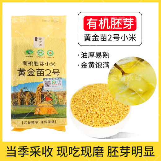 新米上市‼️【有机胚芽黄金苗2号小米】内蒙古赤峰古早品种 有机种植 商品图4