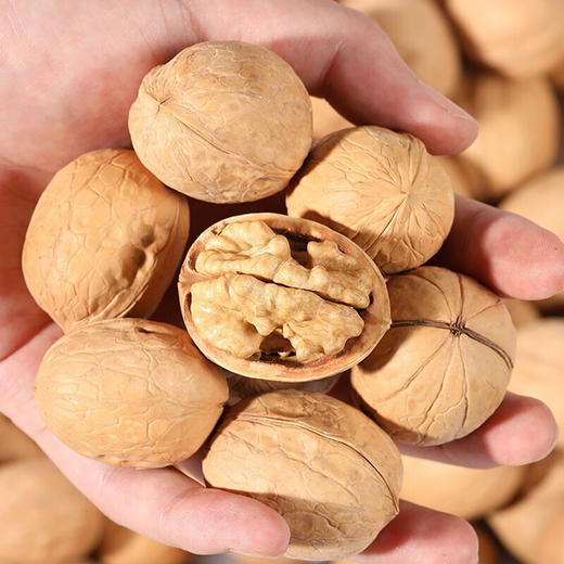 新疆185 纸皮核桃 1斤装/3斤装 【3斤全国包邮，部分地区除外】 商品图1