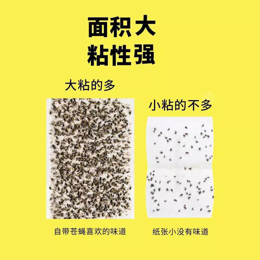 「50片装！升级粘力」苍蝇贴强力粘苍蝇纸板 灭蝇诱杀蝇蚊子药捕捉居家日用一扫光 商品图3