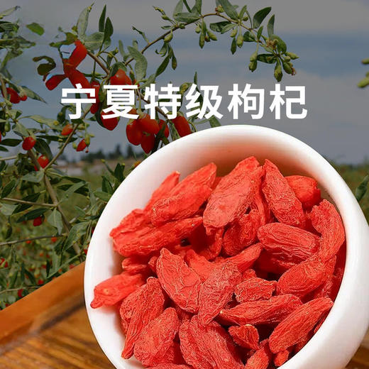 【GJ链接请勿用!!!】【正宗宁夏特级枸杞】买250g/2袋红枸杞赠100g/1罐青海特级黑枸杞 到手只要118元 商品图1