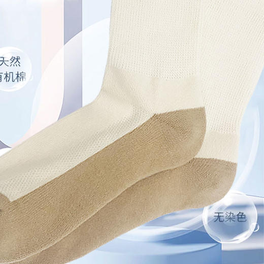 天然彩棉基础袜/健足袜/运动袜 中筒/短袜 薄厚款 男女纯棉袜 成人四季袜 春夏秋冬可选 素道敦煌天然有机彩棉基地 舒适安全健康 [漳州仓] 商品图6