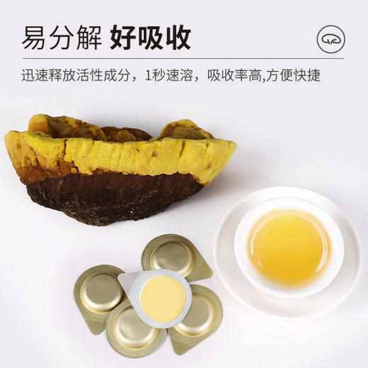 已下架【买6盒赠12片试吃装】黄之皇 桑黄冻干粉 30片/盒 低温真空冷冻 商品图3