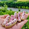 天然多彩 营养升级 新鲜云南七彩花生  1斤/2斤 商品缩略图0