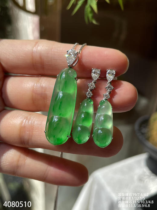 福豆套装【4080510】具体价格微信咨询 商品图0