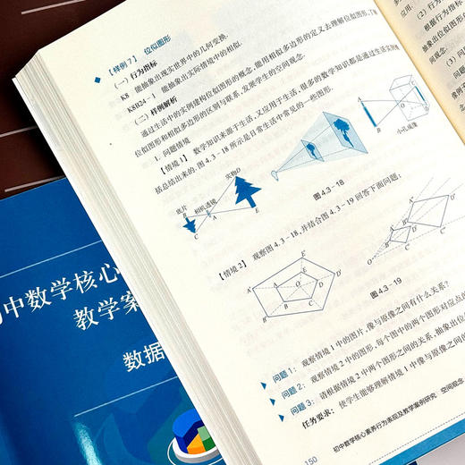 初中数学核心素养行为表现及教学案例研究系列丛书 套装8册 商品图10