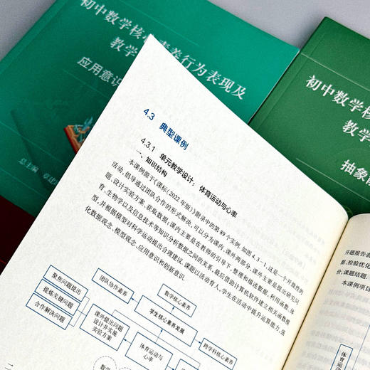 初中数学核心素养行为表现及教学案例研究系列丛书 套装8册 商品图13