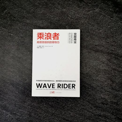 【官方正版】乘浪者 : 高绩效组织的领导力 商品图1