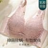 梦芭蒂乳胶内衣女小胸聚拢文胸调整型无钢圈收副乳胸罩柔情浅香 商品缩略图0