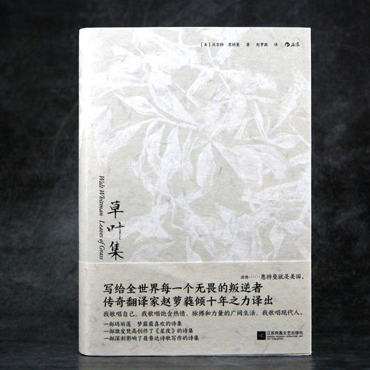 后浪正版 草叶集（全2册） 商品图9