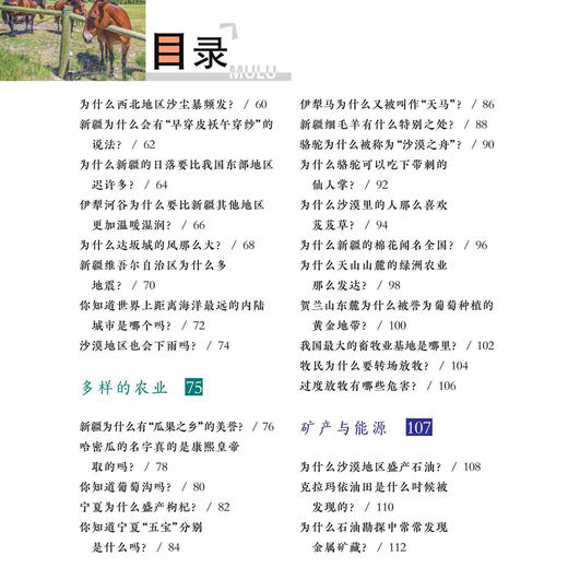 《中国孩子爱问的为什么·中国地理系列》 彩图拼音版（共4册） 商品图3