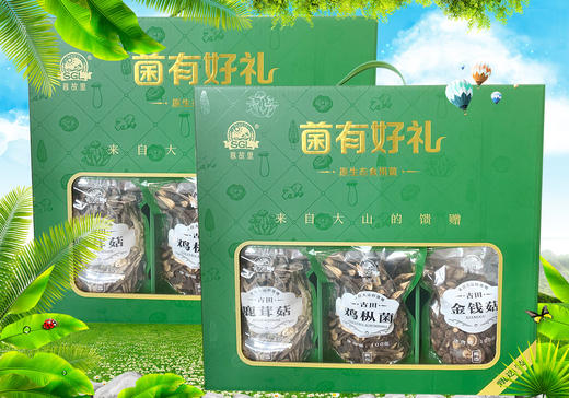(SYJ)思故里菌菇礼盒（内含6种不同菌类）绿 商品图2