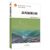 苗药制剂分析 徐文芬 张永萍 主编 全国中医药行业高等教育十四五创新教材 商品缩略图4