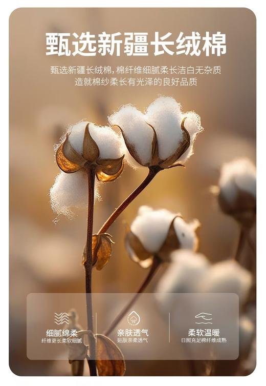 男士60支棉蚕丝腰头印花无痕中国好棉腰头撞色80s棉平角内裤H686/H626/3023 商品图4