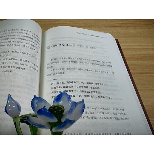 《诗经里的中国史》(品《诗经》，述历史！） 商品图7