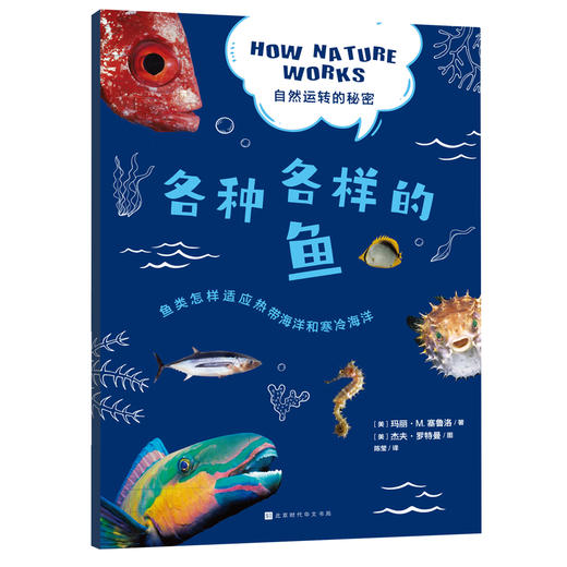 自然运转的秘密 （共4册） 商品图2