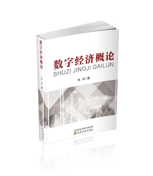 数字经济概论 商品图0