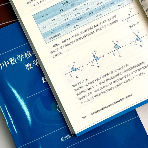 初中数学核心素养行为表现及教学案例研究系列丛书 套装8册 商品图11
