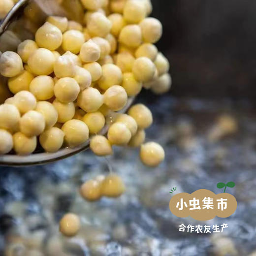 生态新鲜手剥鸡头米（芡实）| 合作农友生产，产自江苏昆山，生产者：王多胜 *【公平贸易农人定价】 商品图2