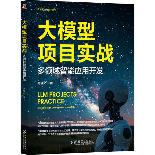 大模型项目实战 多领域智能应用开发 商品图0
