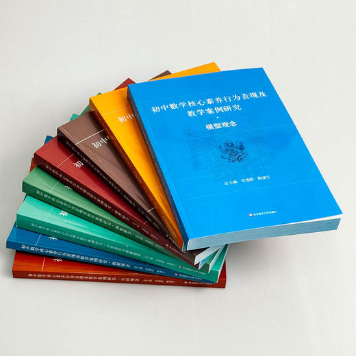 初中数学核心素养行为表现及教学案例研究系列丛书 套装8册 商品图2