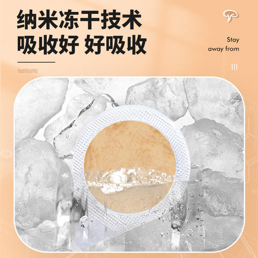 已下架【买6盒赠12片试吃装】黄之皇 桑黄冻干粉 30片/盒 低温真空冷冻 商品图4