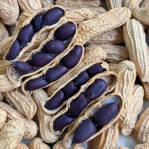 云南高原富硒黑花生/七彩花生 商品图2