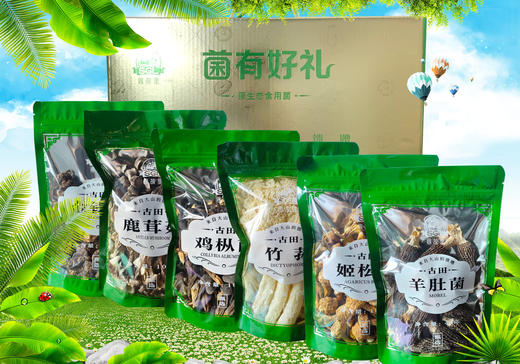 (SYJ)思故里菌菇礼盒（内含6种不同菌类）金 商品图0