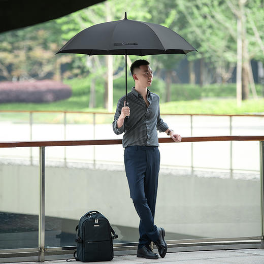 外交官高尔夫晴雨伞DFJ-607/环扣自动晴雨伞DFJ-606  一键收开 大伞面 高颜值 商品图0
