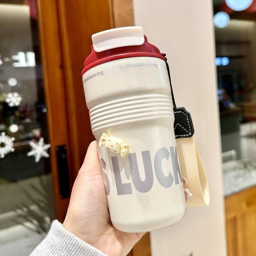 【高颜值水杯】咖啡杯316不锈钢保温杯户外高颜值男女学生吸管水杯礼品杯子。ry 商品图1