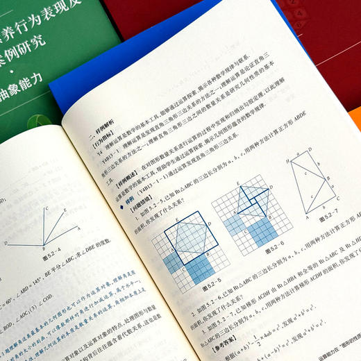 初中数学核心素养行为表现及教学案例研究系列丛书 套装8册 商品图14