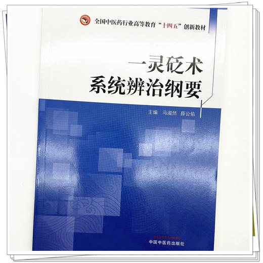一灵砭术系统辨治纲要 马淑然 薛公佑 主编 中国中医药出版社 商品图3