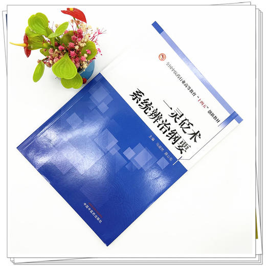 一灵砭术系统辨治纲要 马淑然 薛公佑 主编 中国中医药出版社 商品图1
