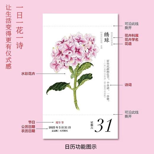 【花开专属下单链接】花开有时2025年日历 商品图3