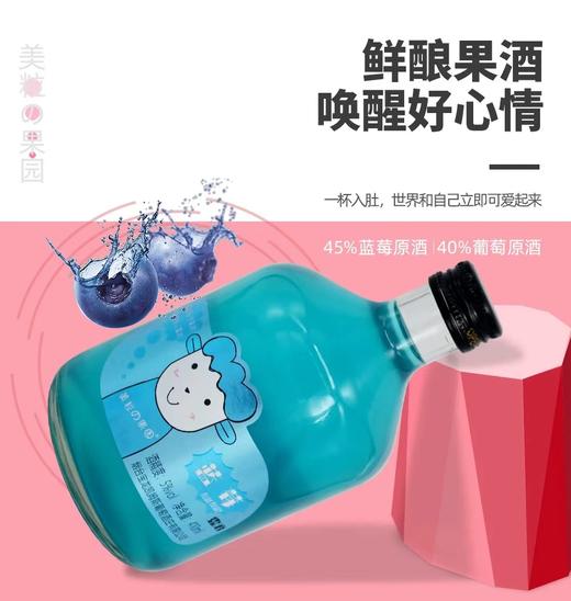 美粒の果园 5度蓝莓露酒 410ml/瓶 商品图0