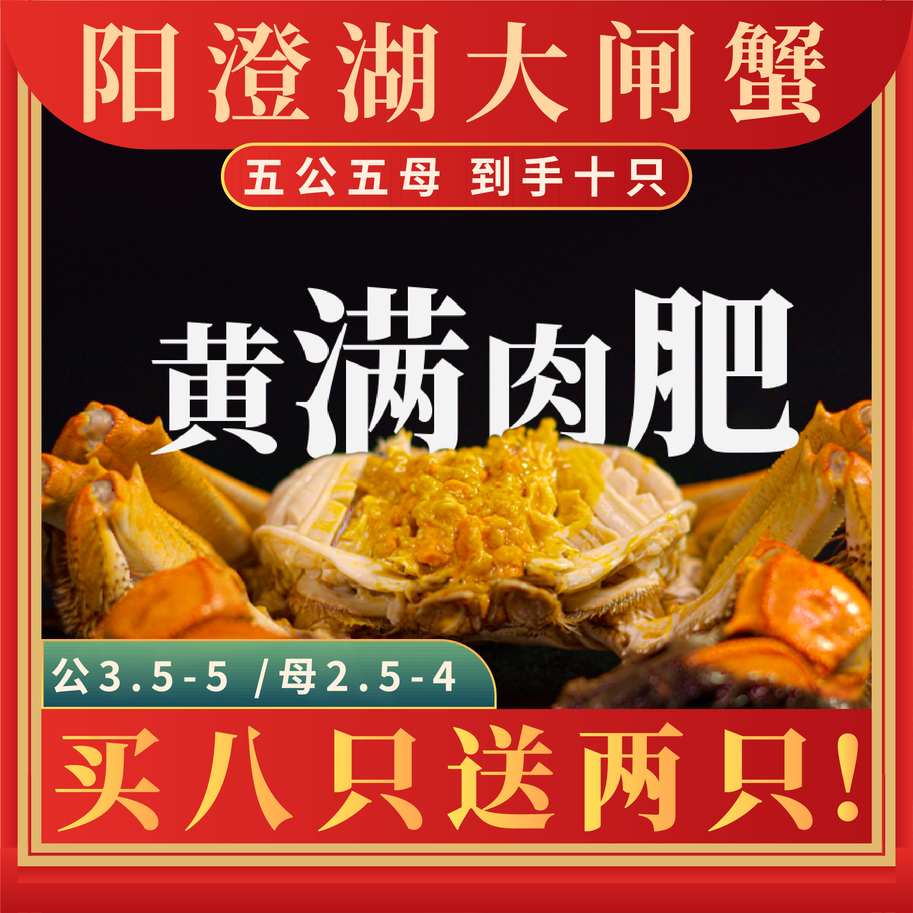 【正宗阳澄湖大闸蟹 买8送2】鲜活10只礼盒装 顺丰冷链速达