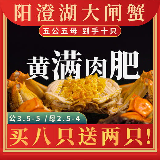 【正宗阳澄湖大闸蟹 买8送2】鲜活10只礼盒装 顺丰冷链速达 商品图0